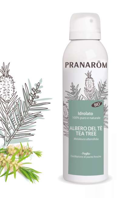 Idrolato Albero del tè 150 ml PRANAROM | Acquista Online Erba Mistica