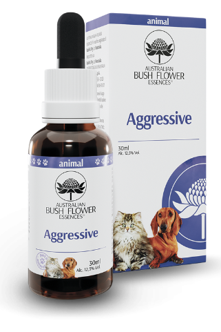 Aggressive Pets BUSH FLOWERS | Acquista Online Erba Mistica