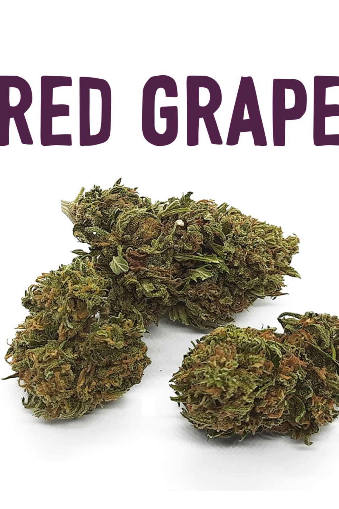 Red Grape 2gr CHIANTI HEALS | Acquista Online Erba Mistica