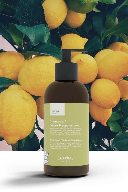 Shampoo Sebo regolatore DERBE | Acquista Online Erba Mistica