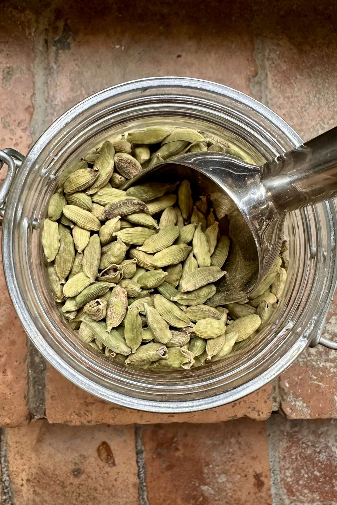 Cardamomo Tè DELL'AVIATORE | Acquista Online Erba Mistica