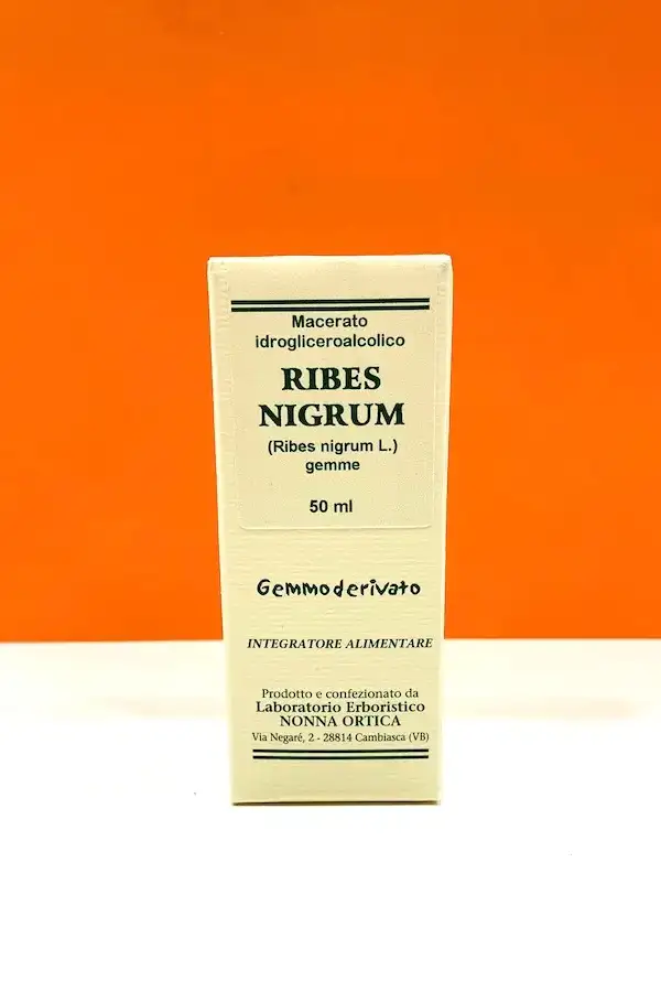 Ribes nigrum MG Nonna Ortica | Acquista Online Erba Mistica